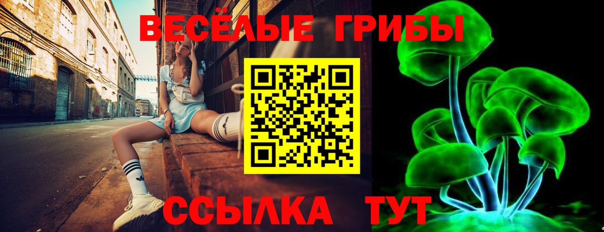Галлюциногенные грибы MAGIC MUSHROOMS  Псилоцибиновые грибы ЛСД  Обнинск  Вход с VPN 
